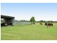 9 Ennis Road, Wauchope NSW 2446