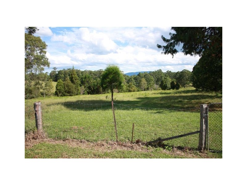 332 Mortons Creek Rd, Beechwood NSW 2446