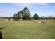 141 Rowsells Road, Pembrooke NSW 2446