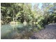 577 Pappinbarra Road, Beechwood NSW 2446