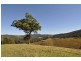 577 Pappinbarra Road, Beechwood NSW 2446