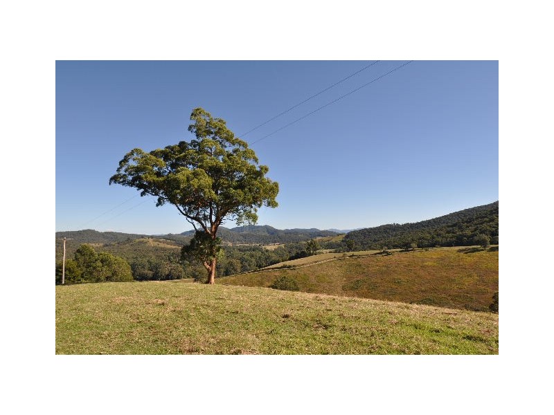 577 Pappinbarra Road, Beechwood NSW 2446