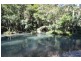 577 Pappinbarra Road, Beechwood NSW 2446