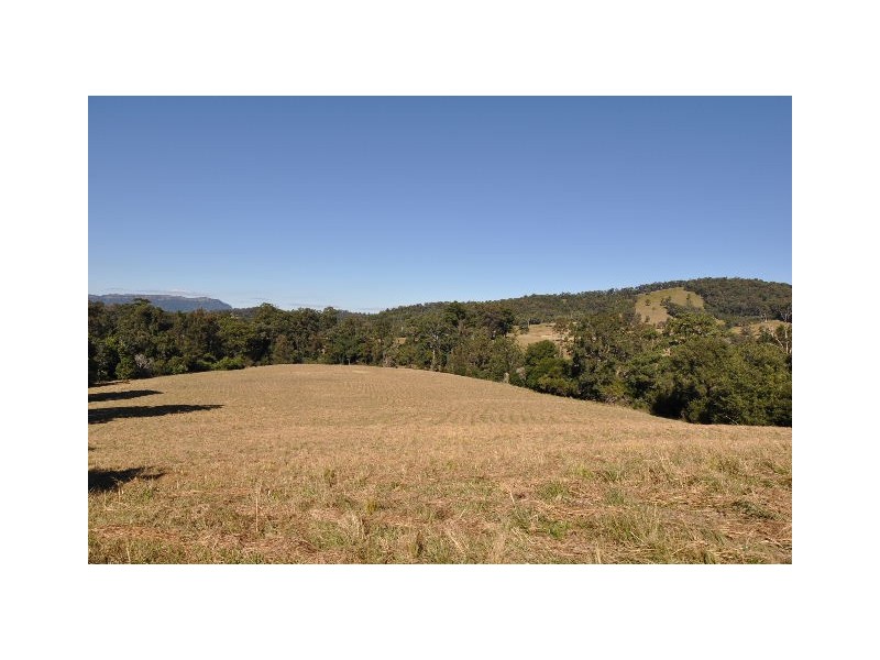 577 Pappinbarra Road, Beechwood NSW 2446