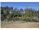 577 Pappinbarra Road, Beechwood NSW 2446