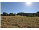577 Pappinbarra Road, Beechwood NSW 2446