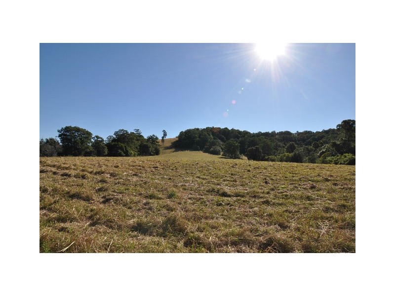577 Pappinbarra Road, Beechwood NSW 2446