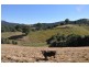 577 Pappinbarra Road, Beechwood NSW 2446