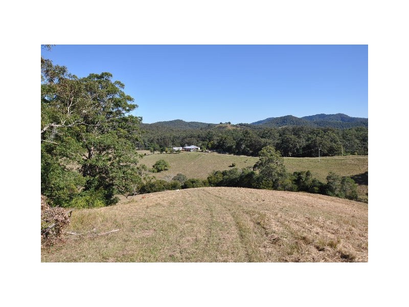 577 Pappinbarra Road, Beechwood NSW 2446