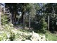180 Upper Smiths Creek Rd, Kundabung NSW 2441