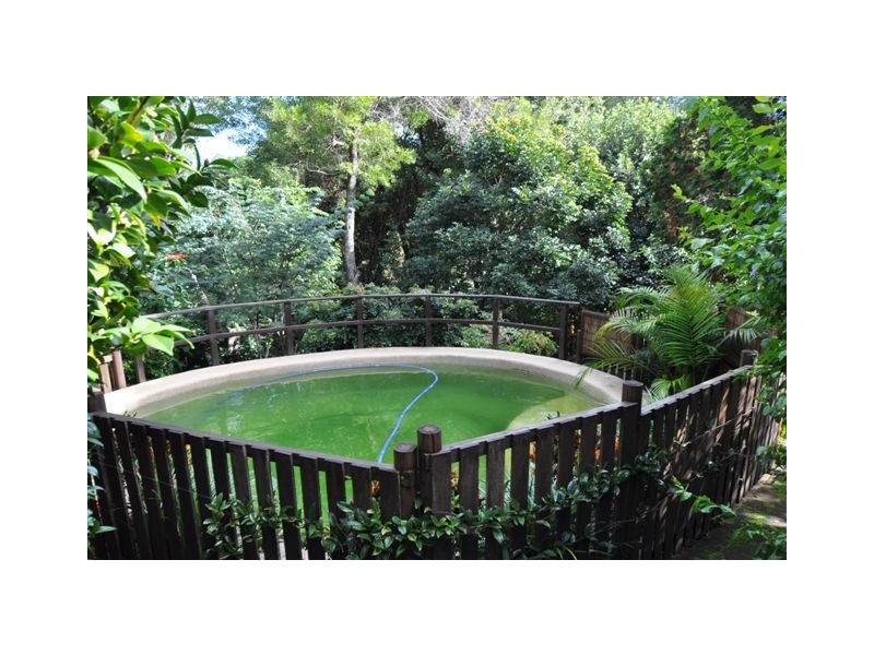 14 Beechwood Rd, Wauchope NSW 2446