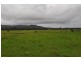 1611 Pembrooke Rd, Telegraph Point NSW 2441