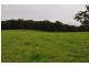 1611 Pembrooke Rd, Telegraph Point NSW 2441