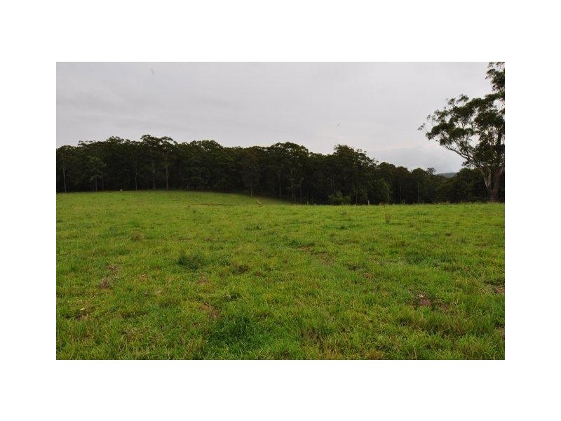 1611 Pembrooke Rd, Telegraph Point NSW 2441