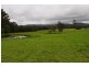 1611 Pembrooke Rd, Telegraph Point NSW 2441
