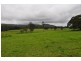 1611 Pembrooke Rd, Telegraph Point NSW 2441