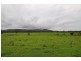 1611 Pembrooke Rd, Telegraph Point NSW 2441