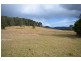 268 Gum Scrub Rd, Gum Scrub NSW 2441