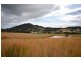 268 Gum Scrub Rd, Gum Scrub NSW 2441