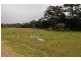 33 Gum Scrub Rd, Gum Scrub NSW 2441