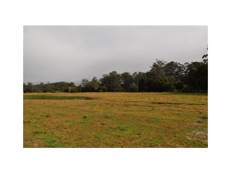 33 Gum Scrub Rd, Gum Scrub NSW 2441