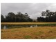 33 Gum Scrub Rd, Gum Scrub NSW 2441