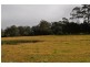 33 Gum Scrub Rd, Gum Scrub NSW 2441