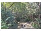 33 Gum Scrub Rd, Gum Scrub NSW 2441
