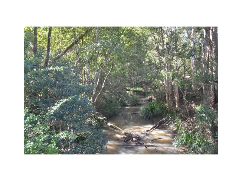 33 Gum Scrub Rd, Gum Scrub NSW 2441