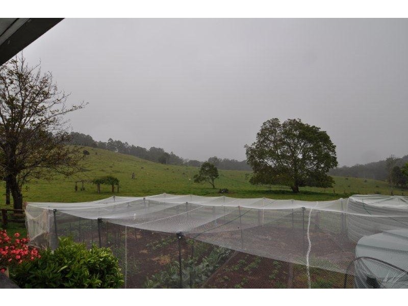 669 Costigans Road, Yarras NSW 2446