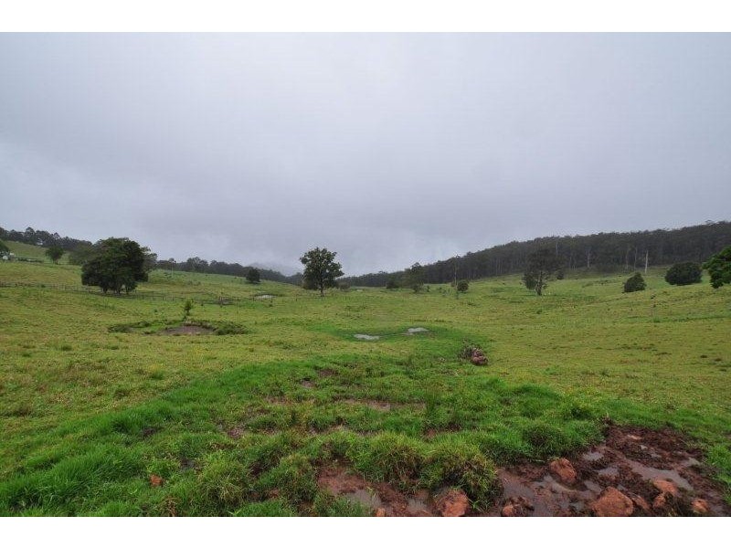 669 Costigans Road, Yarras NSW 2446