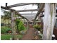 669 Costigans Road, Yarras NSW 2446