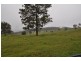 669 Costigans Road, Yarras NSW 2446