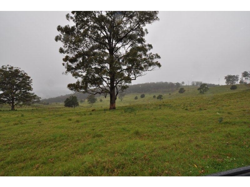 669 Costigans Road, Yarras NSW 2446