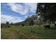Lot 96 Bunnoo River Road, Ellenborough NSW 2446