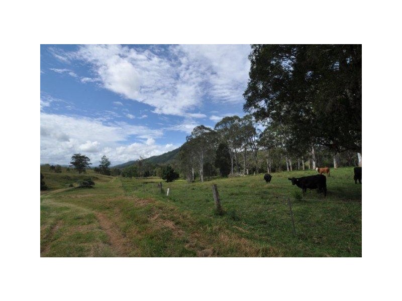 Lot 96 Bunnoo River Road, Ellenborough NSW 2446
