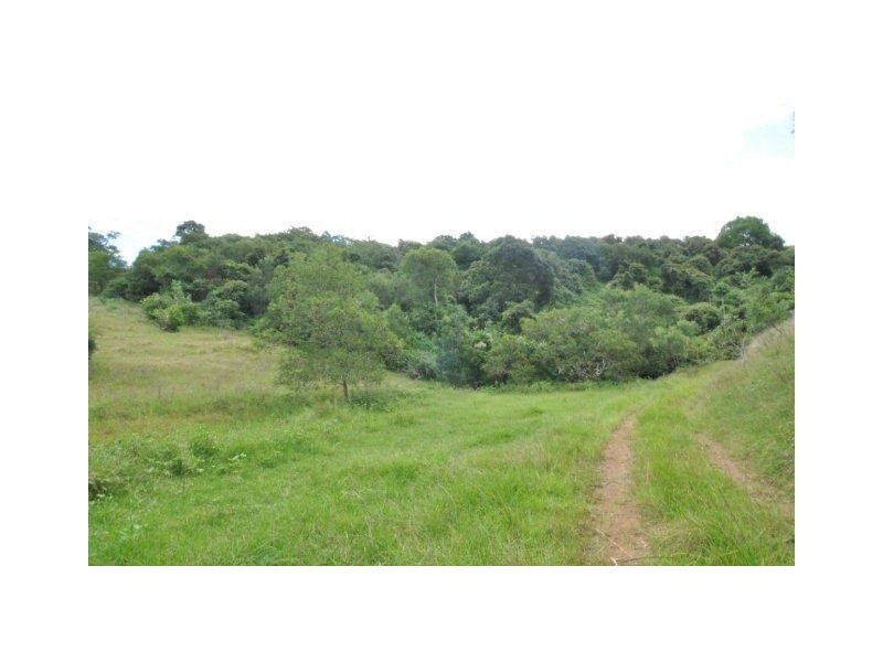 Lot 96 Bunnoo River Road, Ellenborough NSW 2446