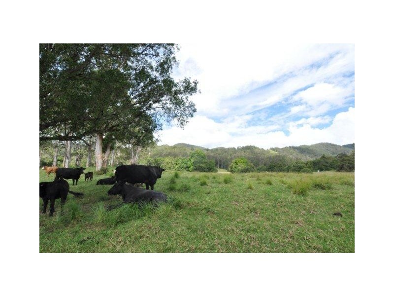 Lot 96 Bunnoo River Road, Ellenborough NSW 2446