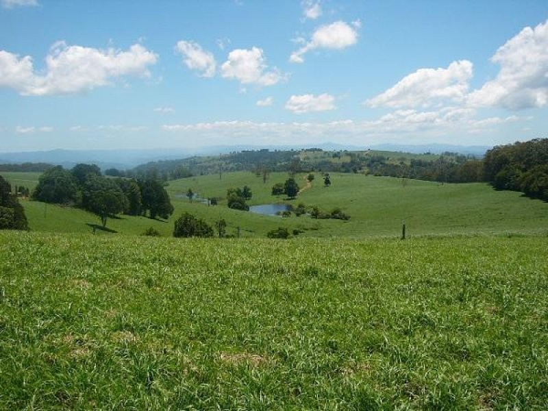 Lot 1, 4 Ingleside Road, Comboyne NSW 2429
