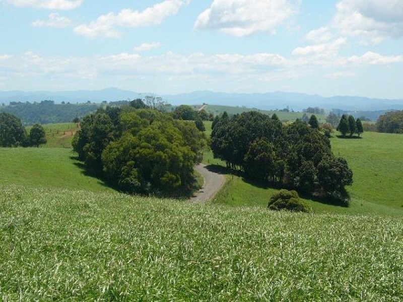 Lot 1, 4 Ingleside Road, Comboyne NSW 2429