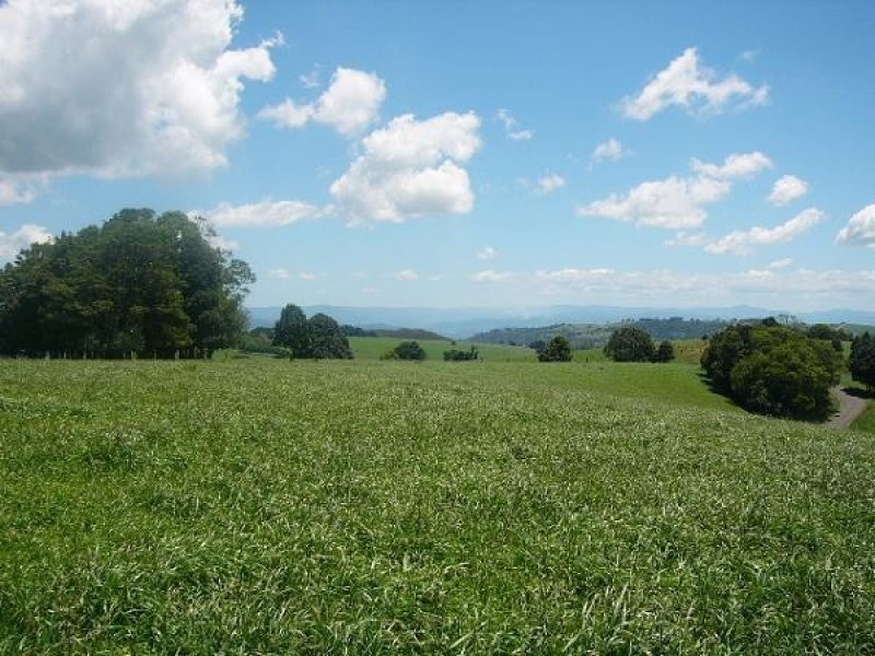 Lot 1, 4 Ingleside Road, Comboyne NSW 2429