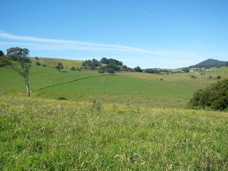 Lot 1, 4 Ingleside Road, Comboyne NSW 2429
