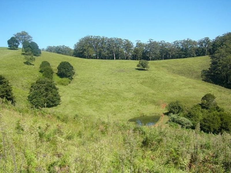 Lot 6, 4 Ingleside Road, Comboyne NSW 2429