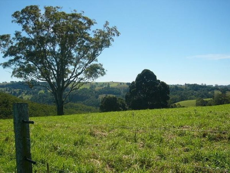 Lot 6, 4 Ingleside Road, Comboyne NSW 2429
