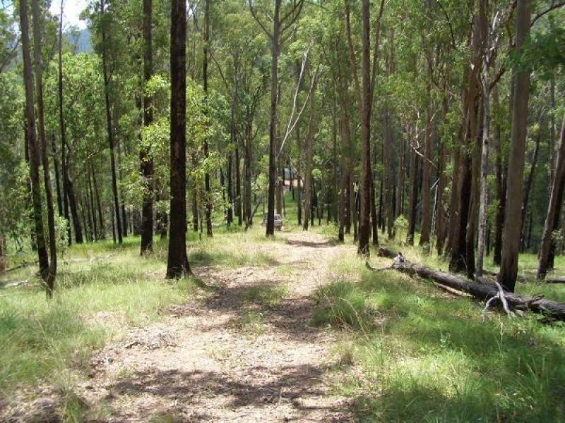 Lot 31 Cells River Road, Yarrowitch NSW 2354