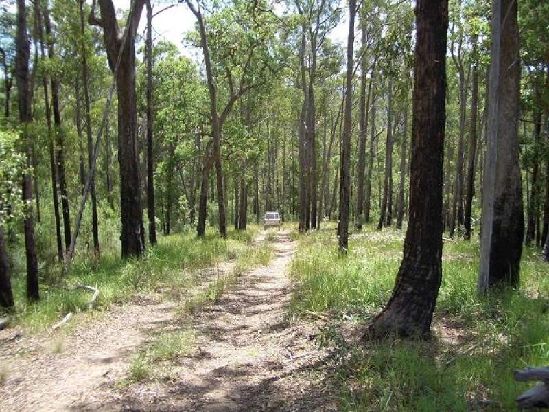 Lot 31 Cells River Road, Yarrowitch NSW 2354