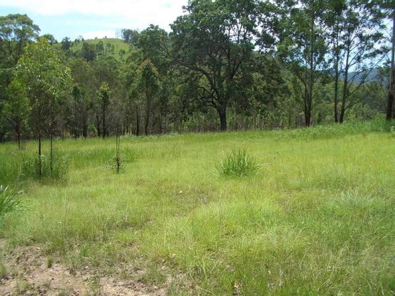 Lot 31 Cells River Road, Yarrowitch NSW 2354