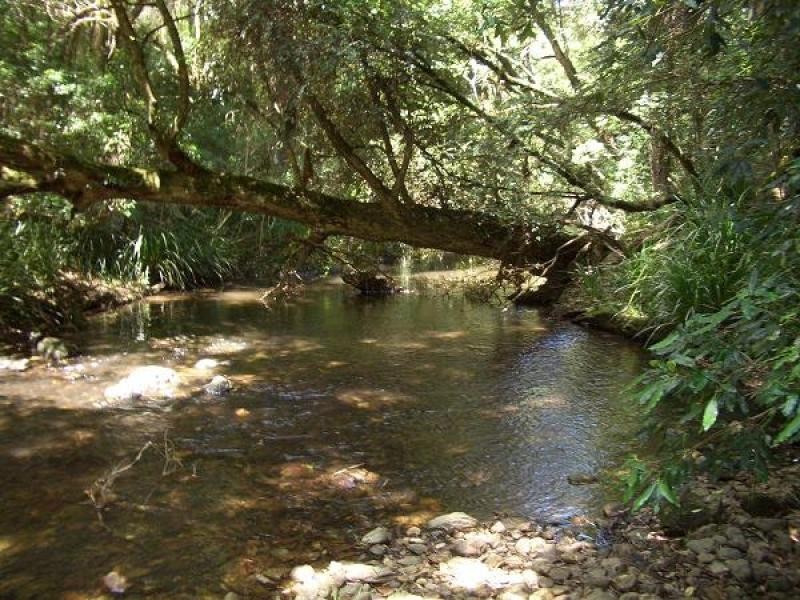 Lot 31 Cells River Road, Yarrowitch NSW 2354