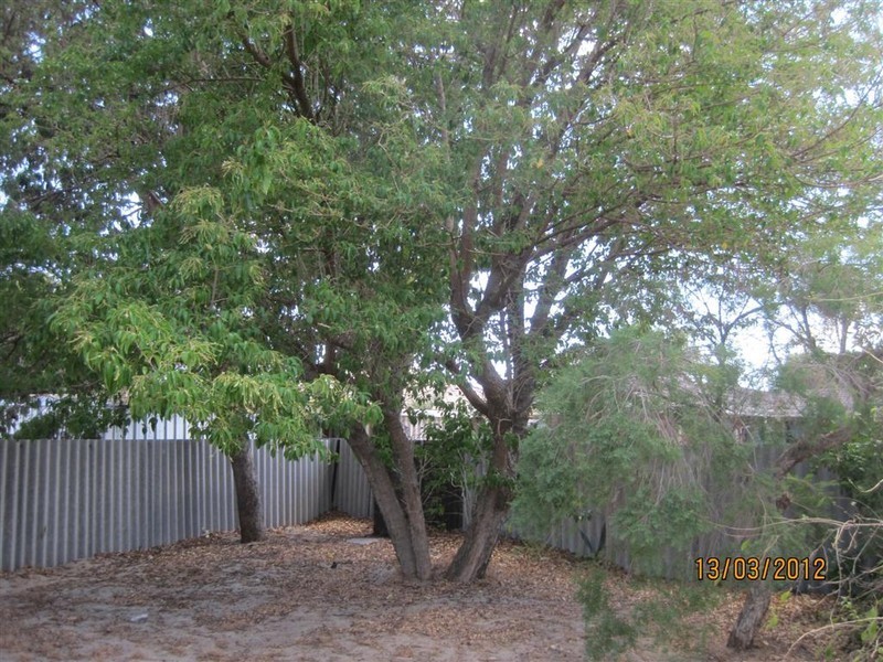 14 Southdown Place, Thornlie WA 6108