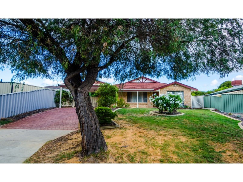 6 Woodspring Trail, Canning Vale WA 6155